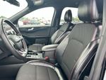 2025 Ford Escape ST-Line — Black Metallic exterior view 8, for sale at Gerald Jones Honda in Augusta, GA