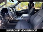 2020 FORD F-150 XLT - Magnetic exterior view 16
