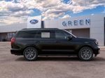 2027 Ford Expedition Platinum — Black Metallic exterior view 8, for sale at Green Ford in Greensboro, NC