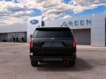 2027 Ford Expedition Platinum — Black Metallic exterior view 5, for sale at Green Ford in Greensboro, NC