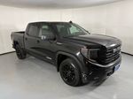 2024 GMC Sierra 1500 Elevation - Onyx Black exterior view 2