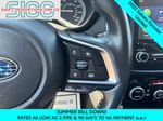 2023 Subaru Forester Limited - Ice Silver Metallic exterior view 13