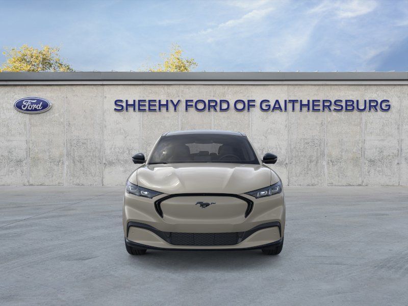 New 2025 Desert Sand Ford Premium image 6
