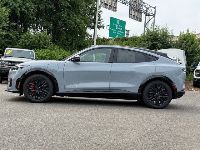 New 2025 Gray Ford Premium image 3