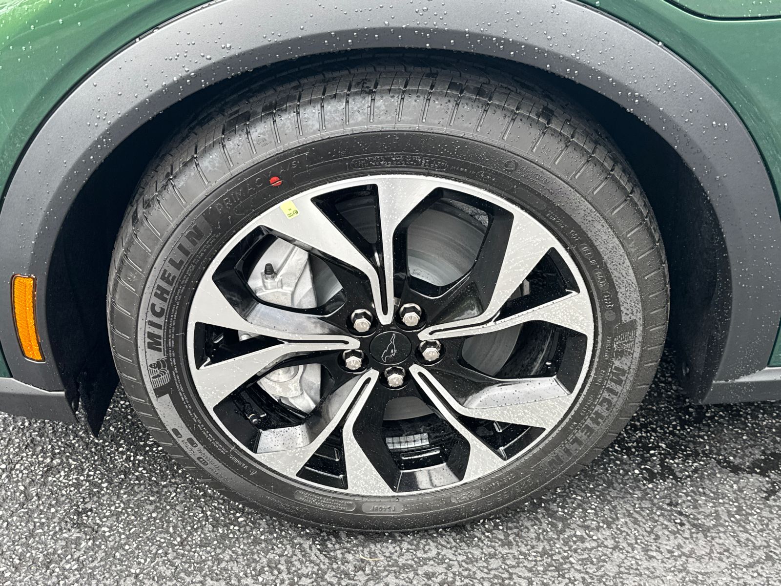 New 2026 Eruption Green Metallic Ford Select image 13