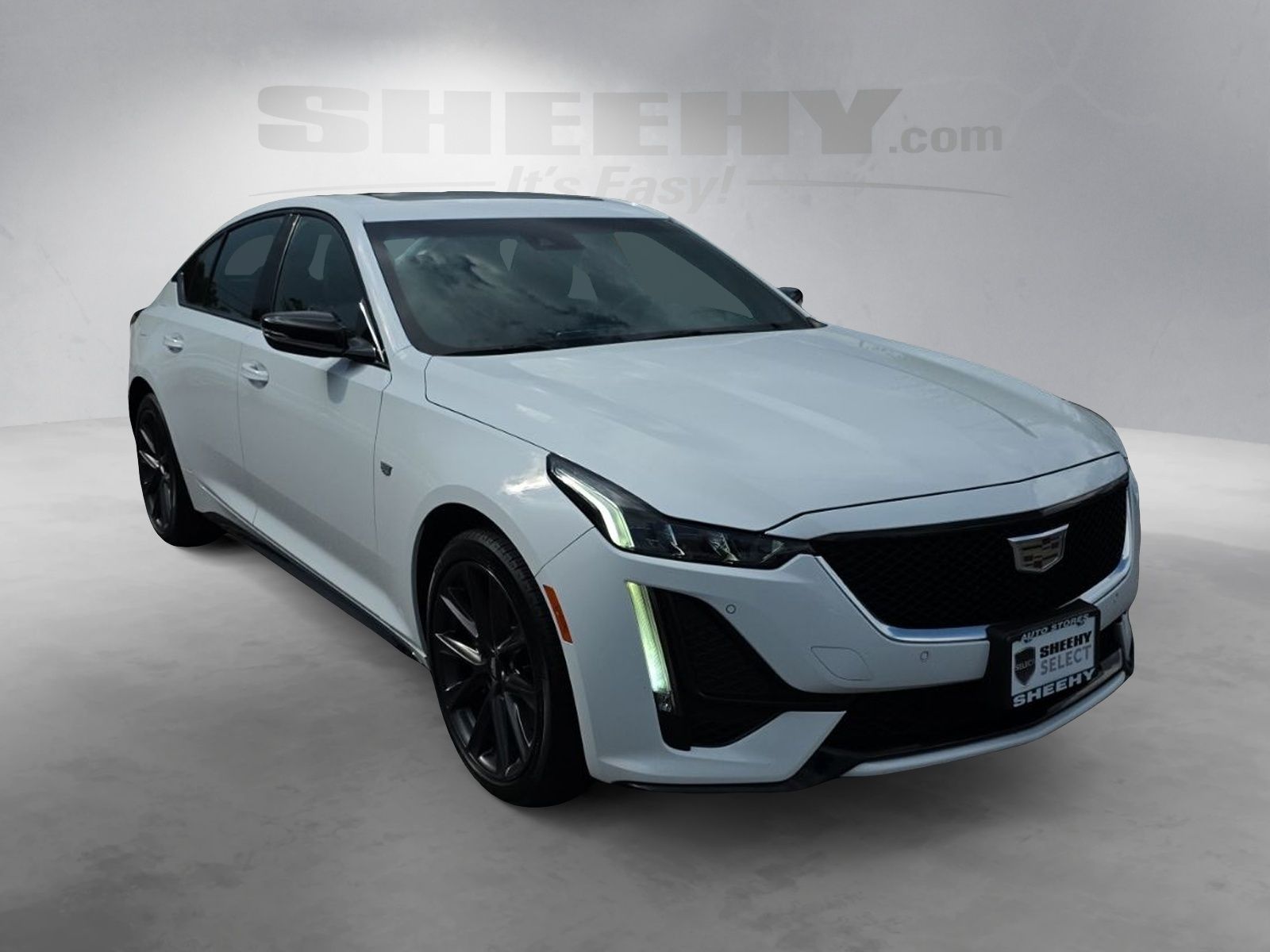 Used 2024 White Cadillac Sport image 2