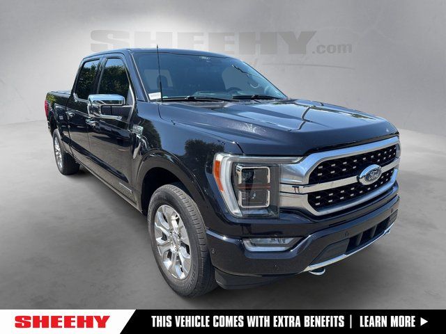2021 Ford F-150 Platinum 4x4 SuperCrew 5-1/2 Box's photo