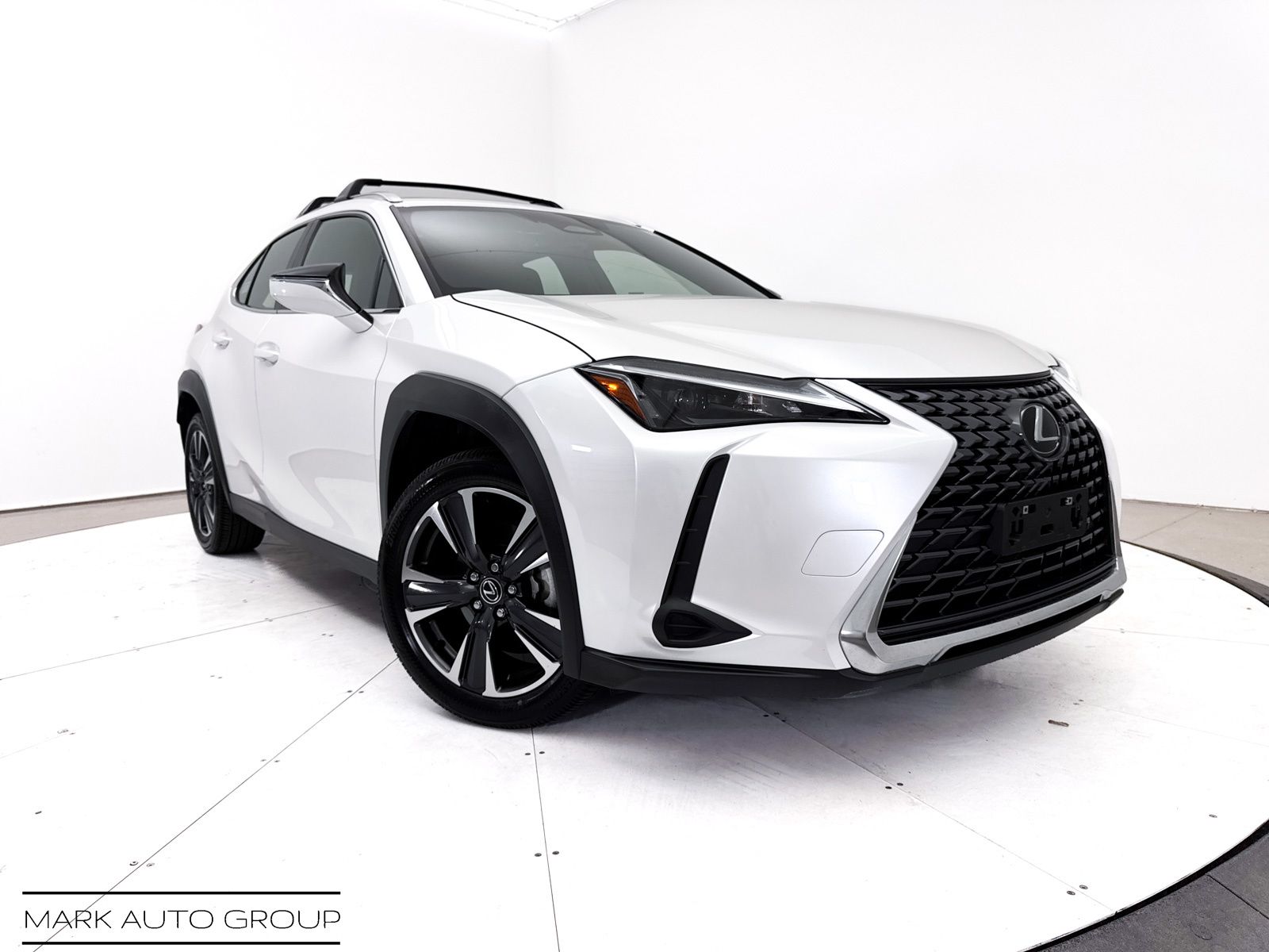 2025 Lexus UX 300h