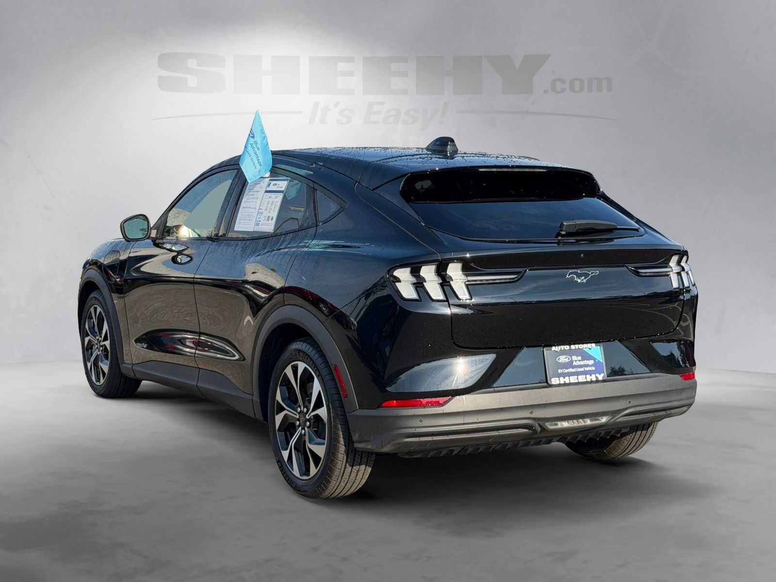 Certified Used 2025 Shadow Black Ford Select image 12