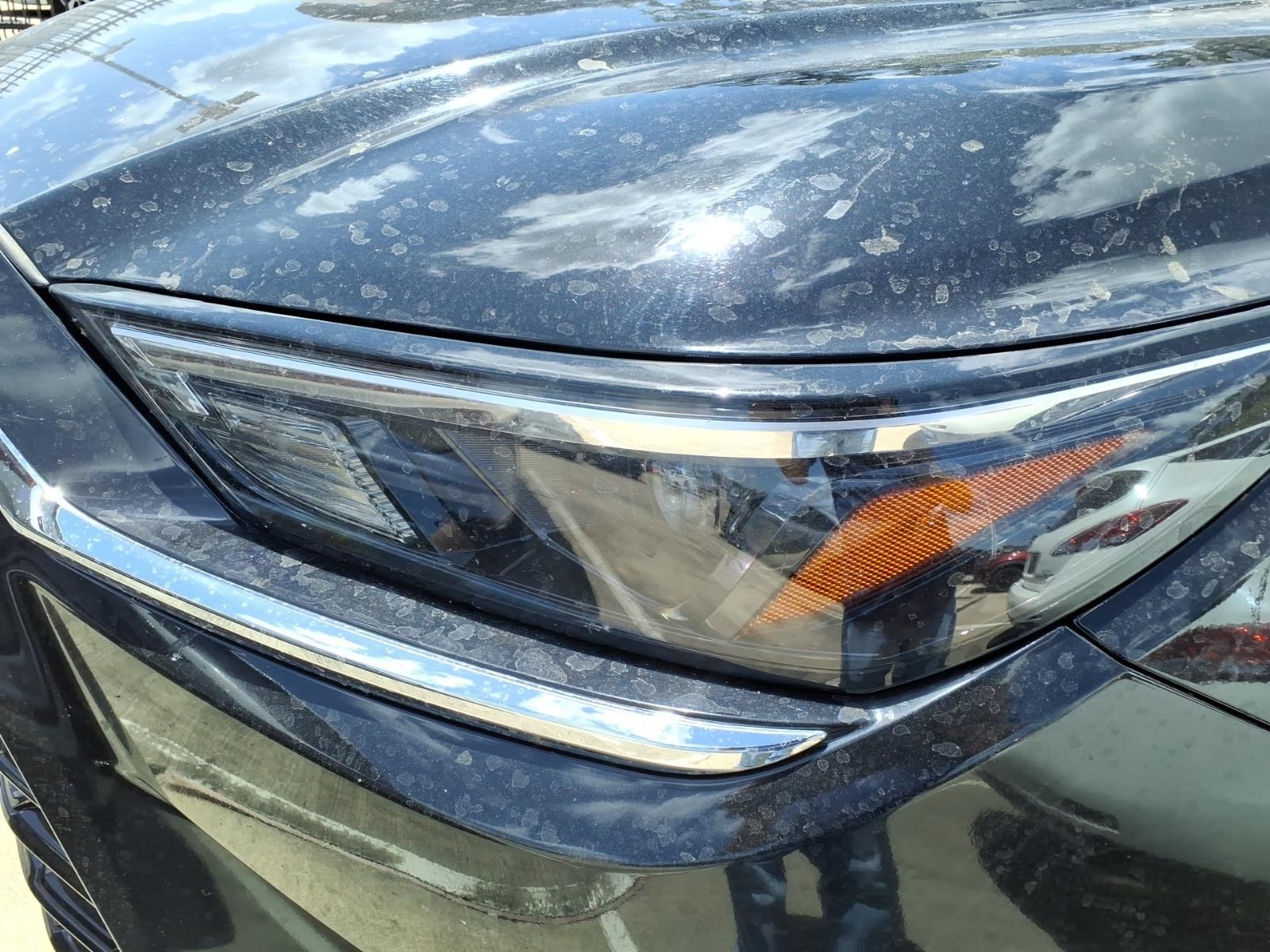 2025 Toyota Grand Highlander XLE Black at Classic Toyota Galveston