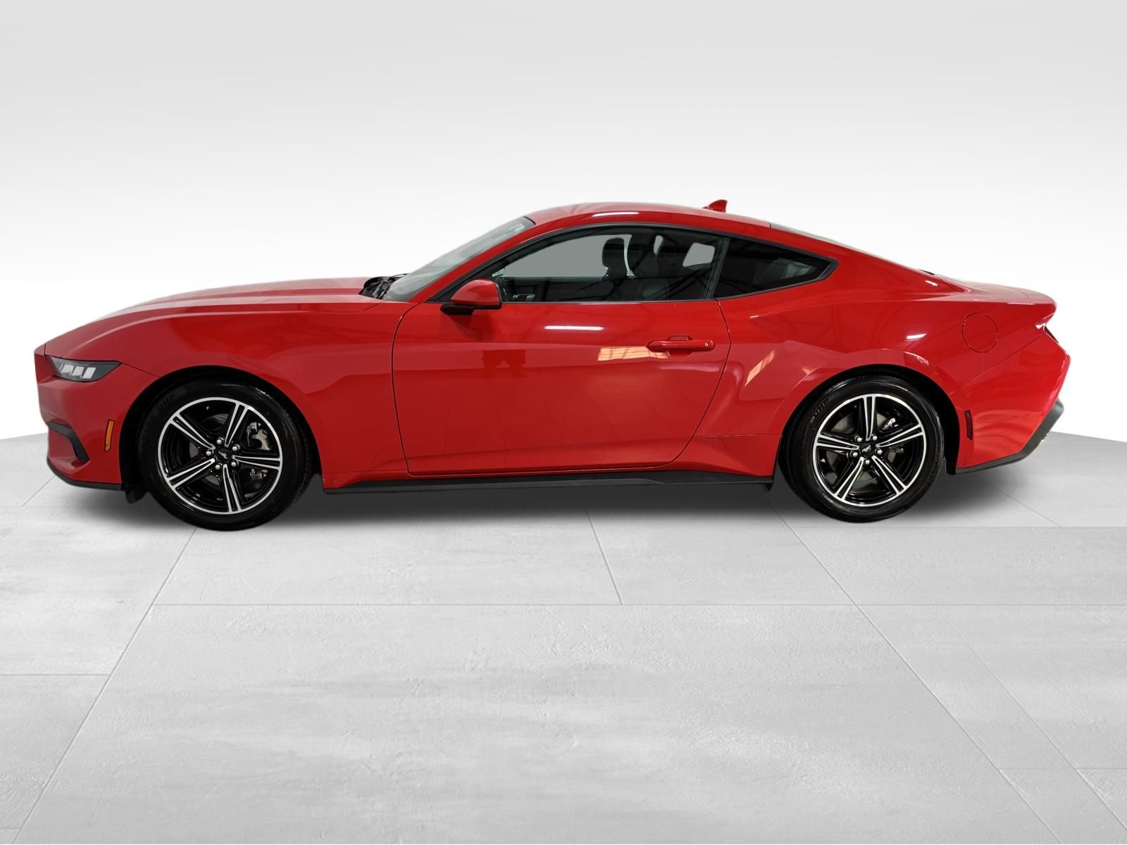 Used Car 2024 Ford Mustang  Ecoboost For Sale Under $30,000 In Austin, Texas