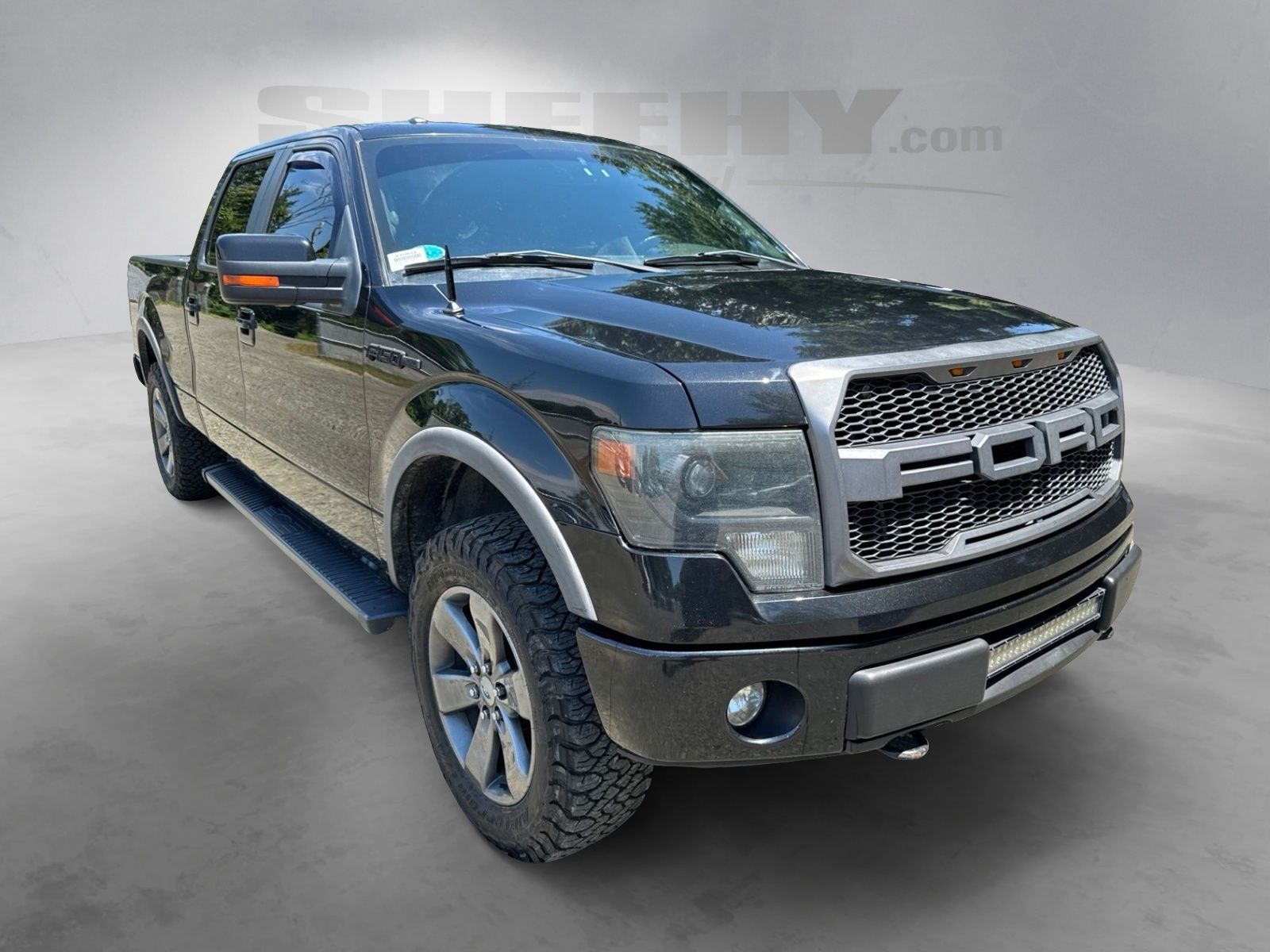 Used 2014  Ford FX4 image 2