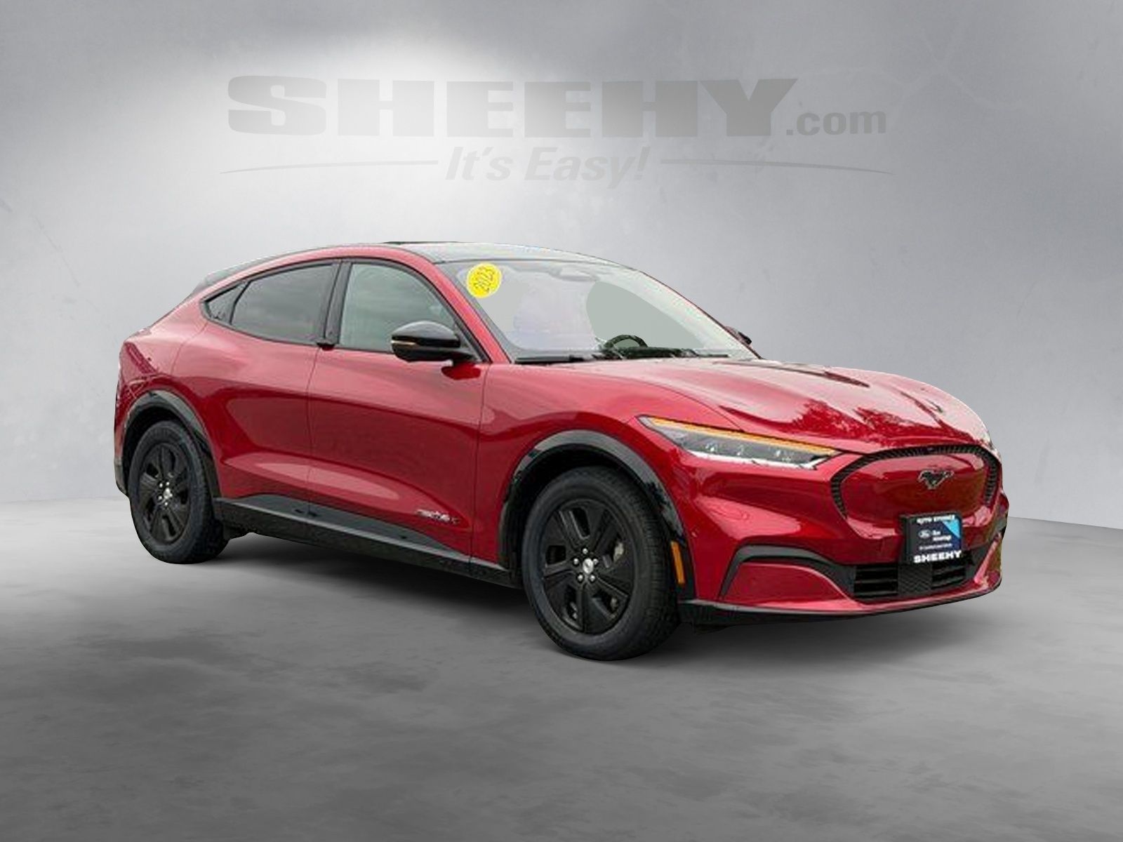 Certified 2023 Ford Mustang Mach-E California Route 1 AWD with VIN 3FMTK2SU0PMA40343 for sale in Springfield, VA