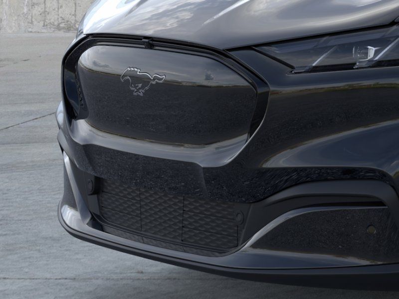 New 2026 Shadow Black Ford Premium image 17