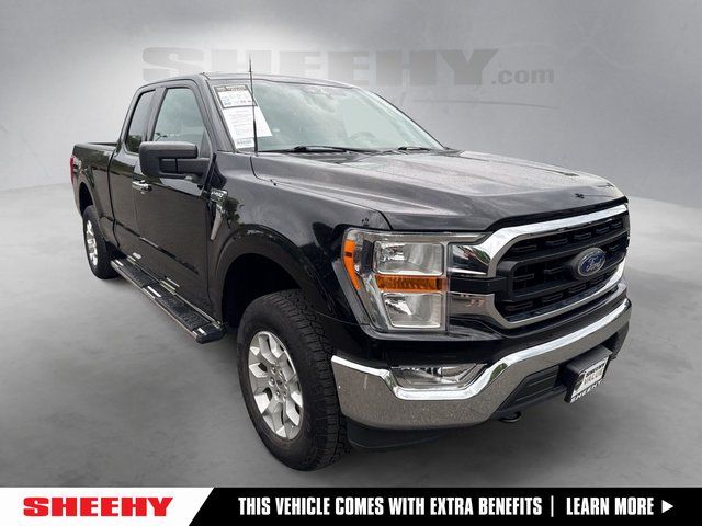 2021 Ford F-150 XLT 4x4 SuperCab 6-1/2 Box's photo