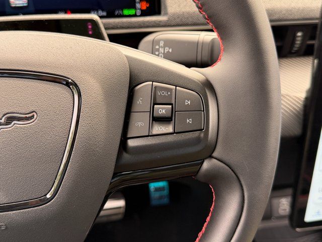 New 2025 Gray Ford Premium image 31