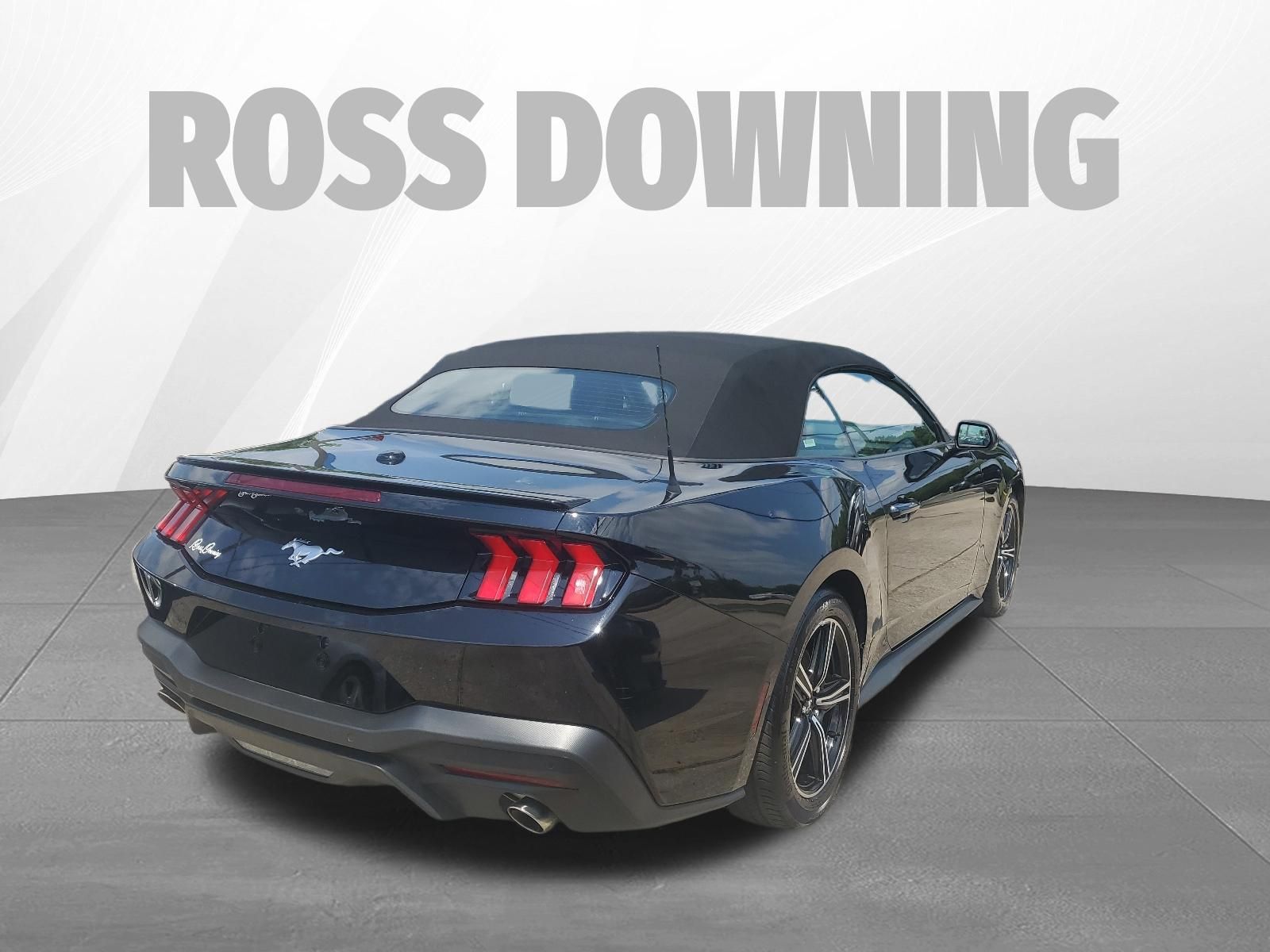 2025 Ford Mustang EcoBoost Premium - 3