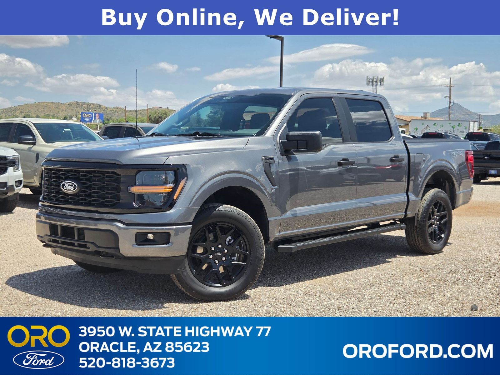 Gray Metallic 2025 Ford F-150 Pickup Truck Four-Wheel Drive Automatic
