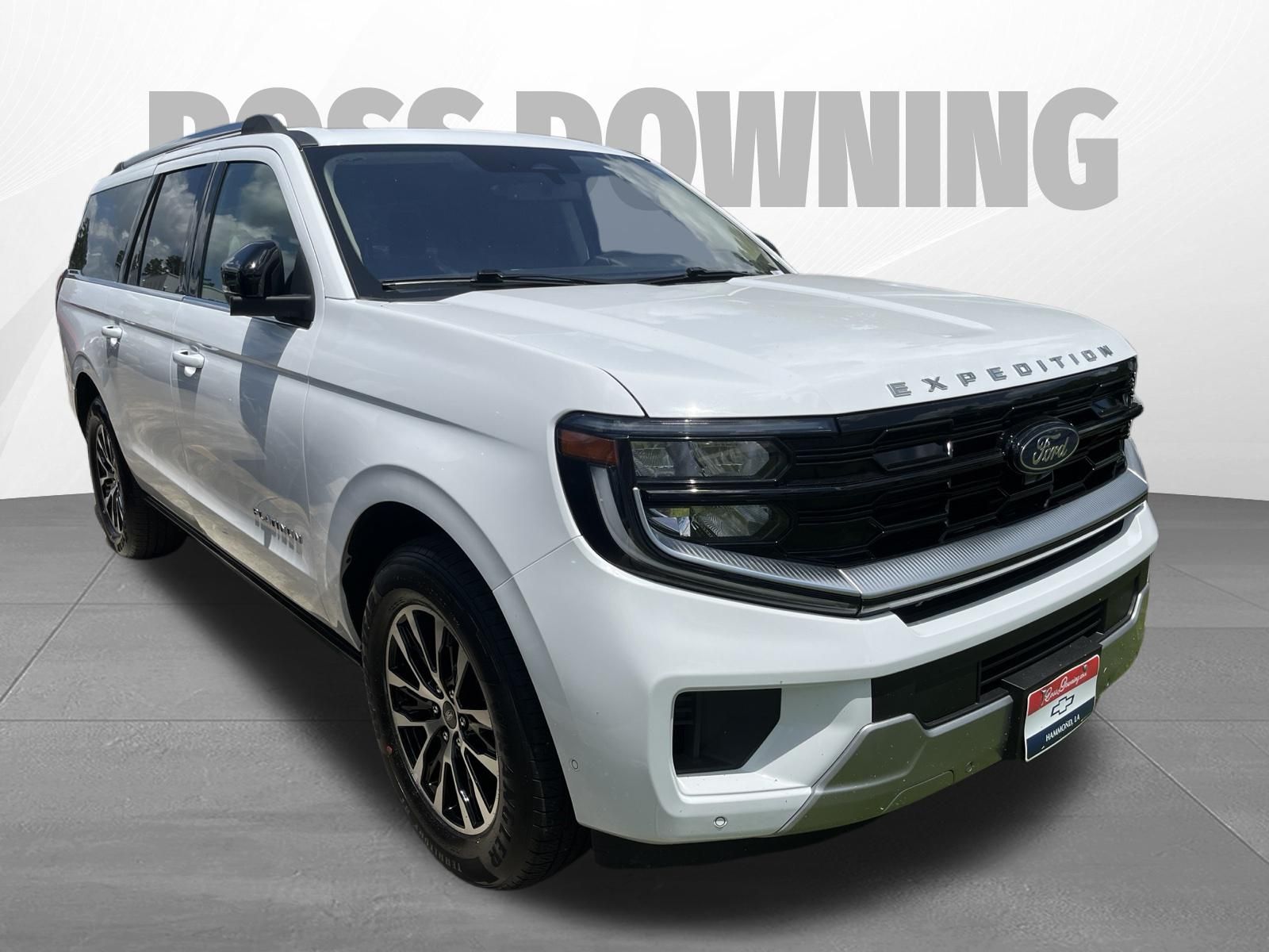 2025 Ford Expedition Max Platinum - 2