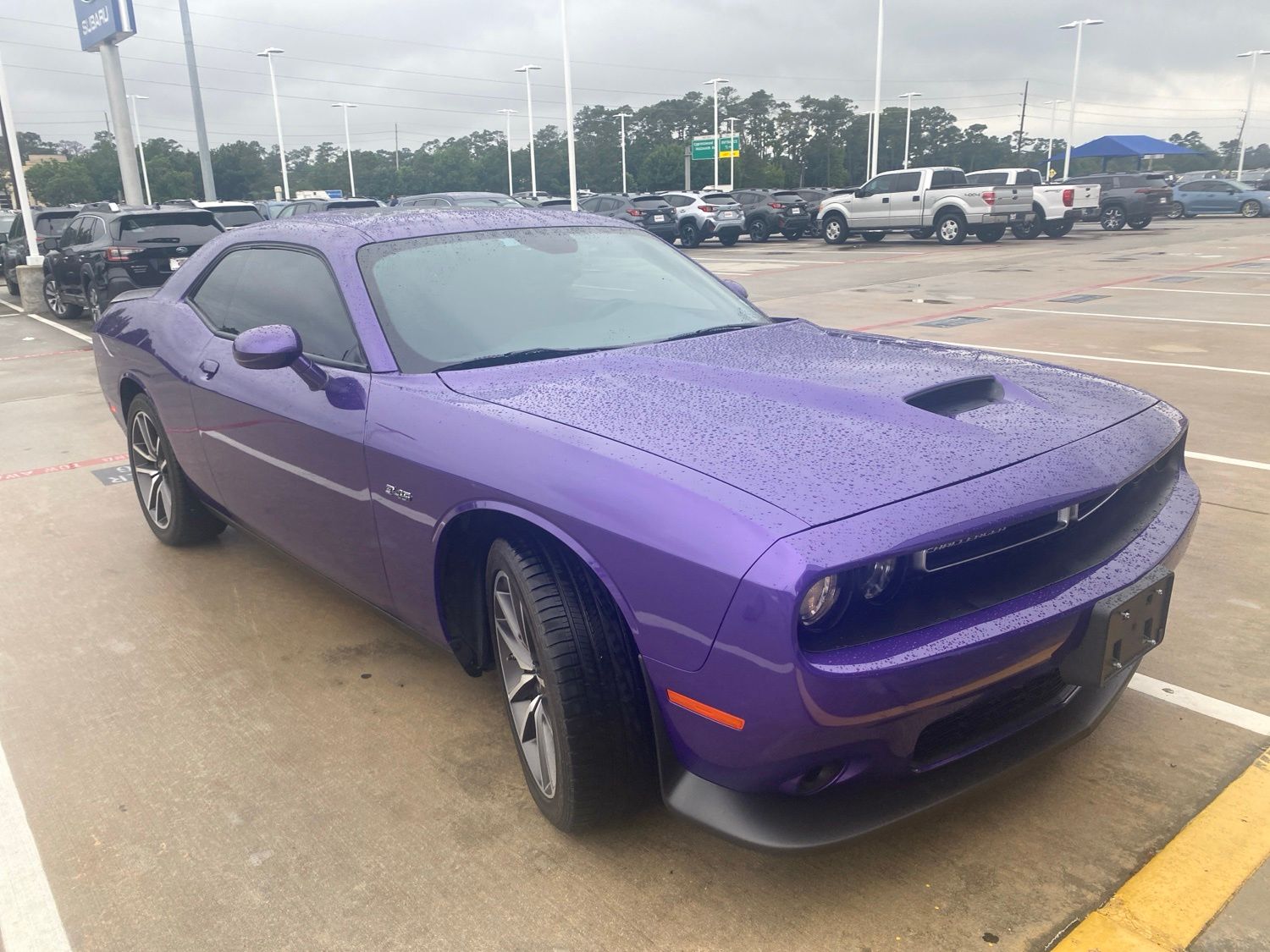 car-gallery-2