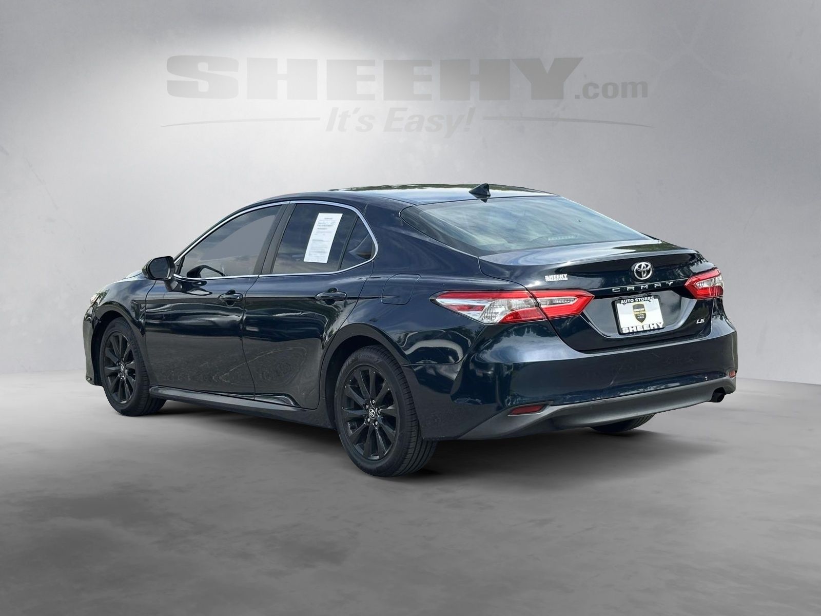 Used 2019 Blue Toyota LE image 12