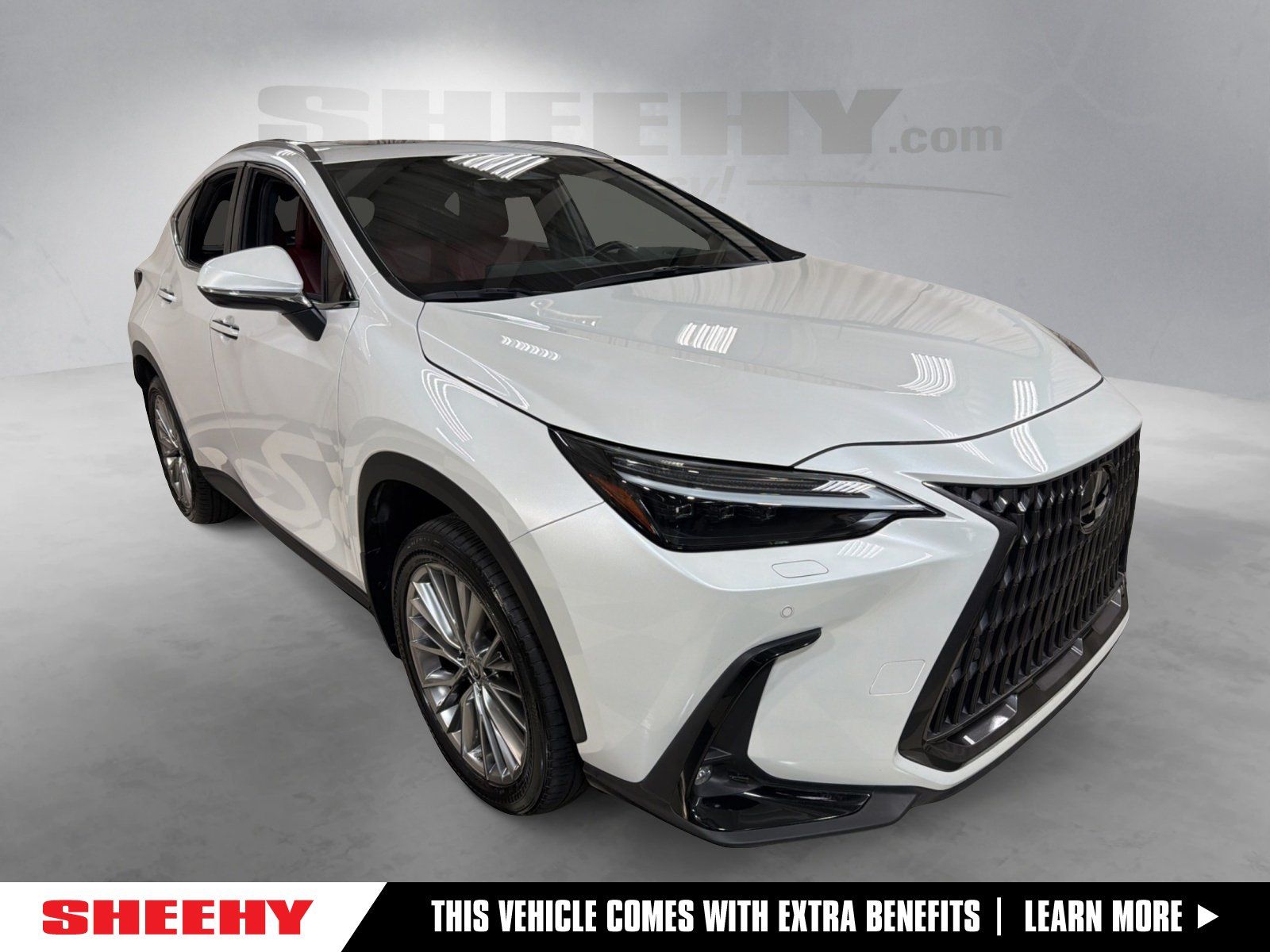2023 Lexus NX 350 350 Luxury AWD's photo