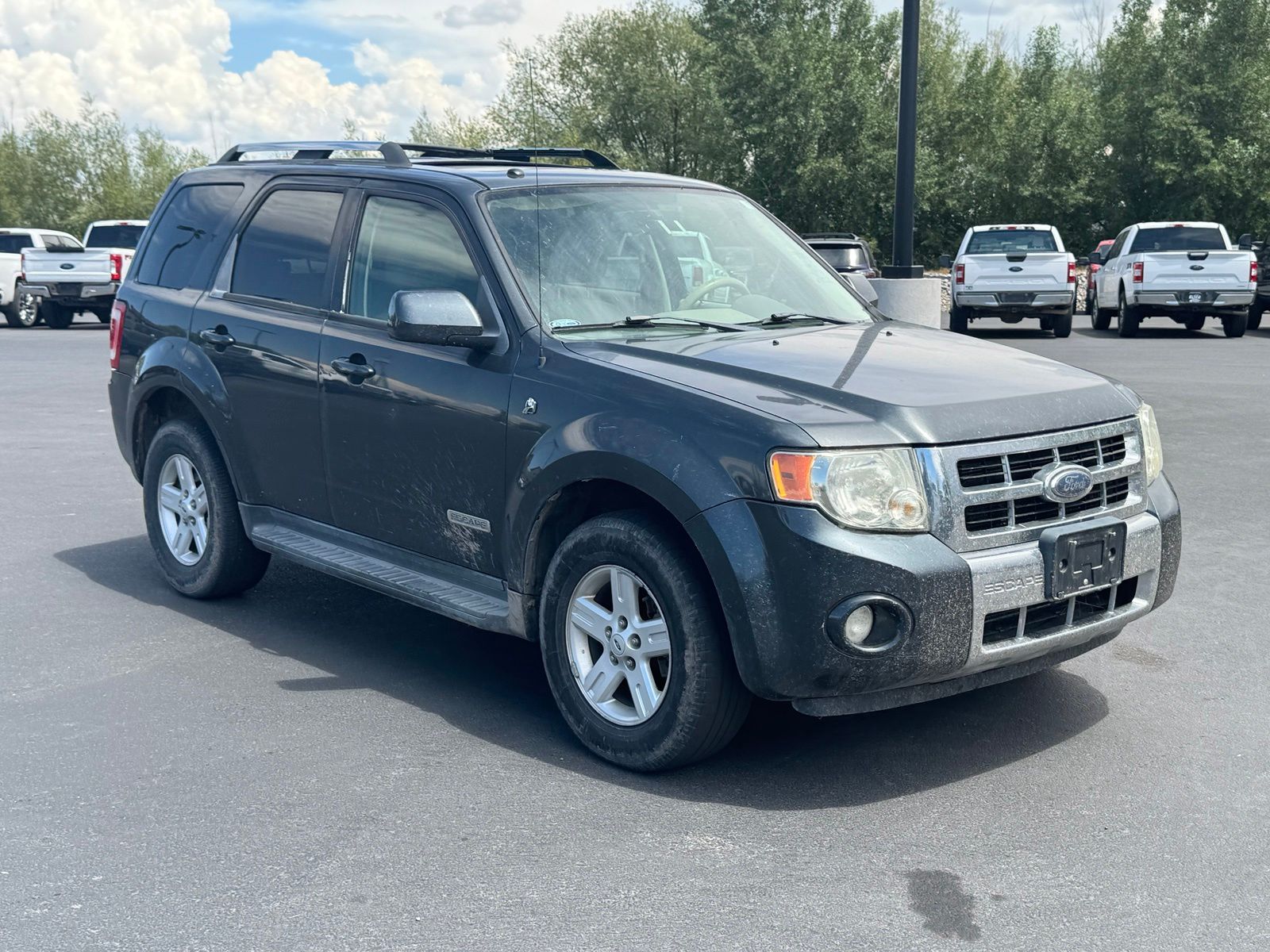 Used 2008 Ford Escape SUV