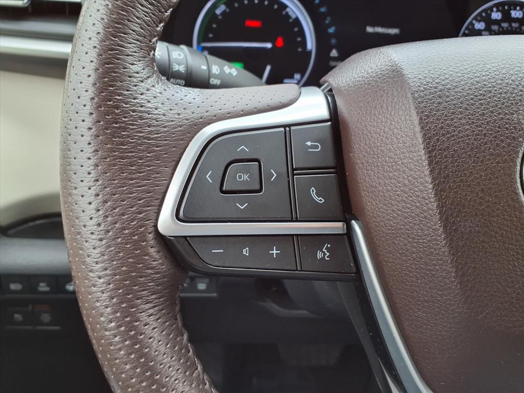 2023 Toyota Sienna Platinum Green at AutoSavvy Houston Southwest