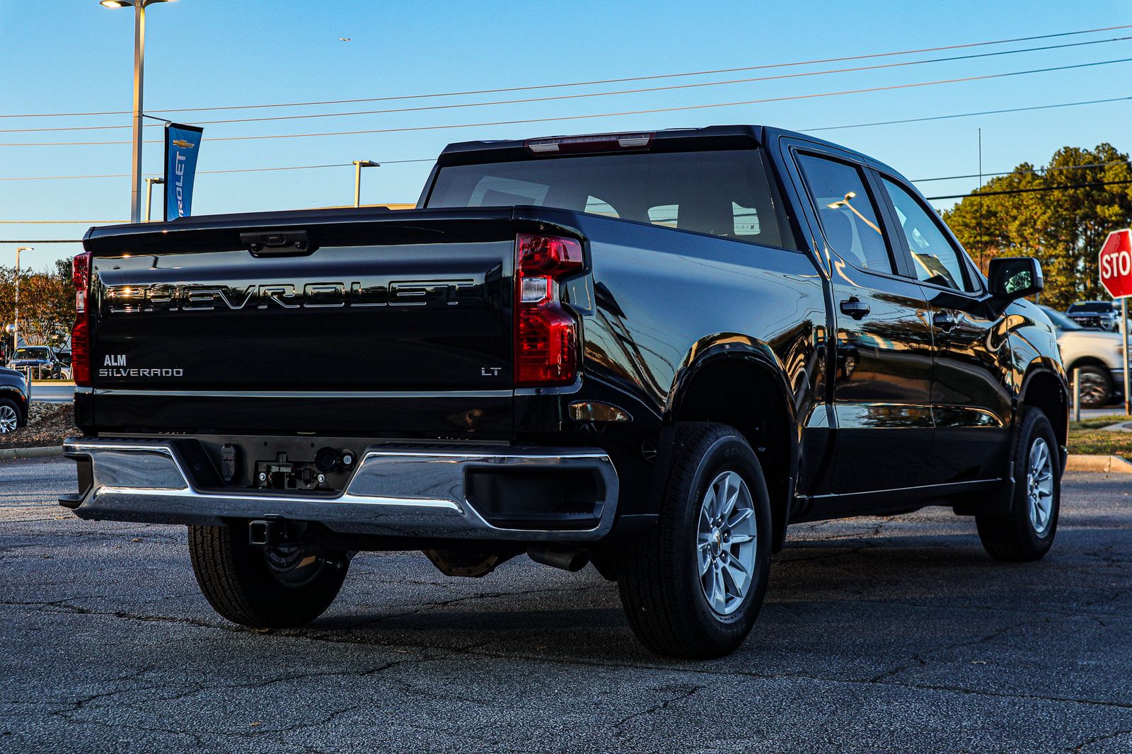 2025 Chevrolet Silverado 1500 LT 10