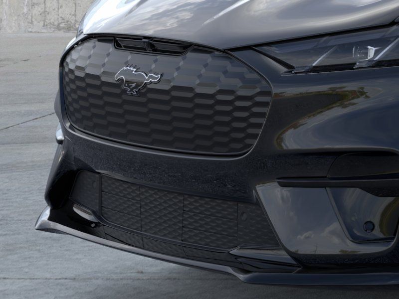 New 2026 Shadow Black Ford Premium image 17