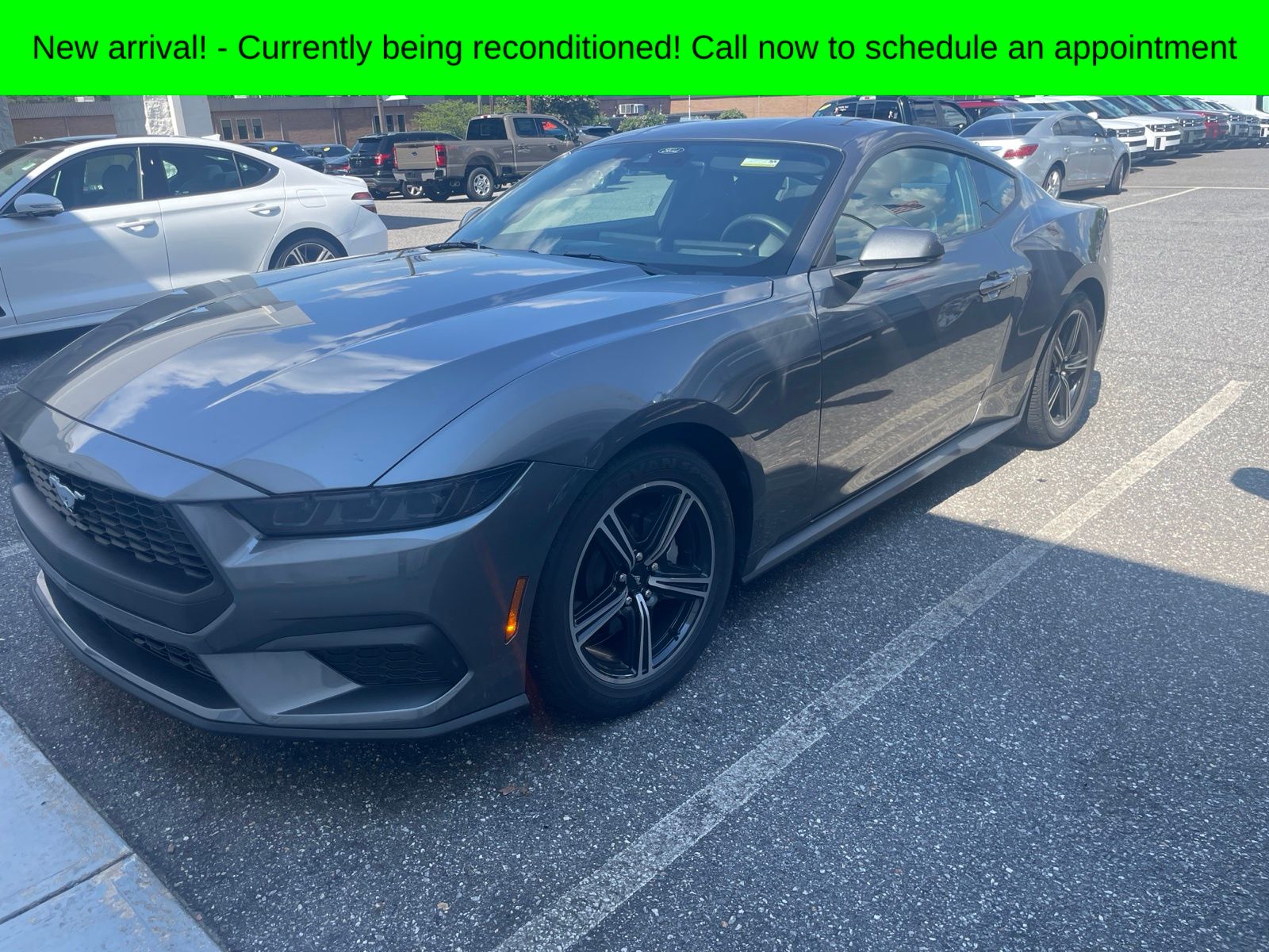 Gray Metallic 2025 Ford Mustang Coupe Rear-Wheel Drive Automatic