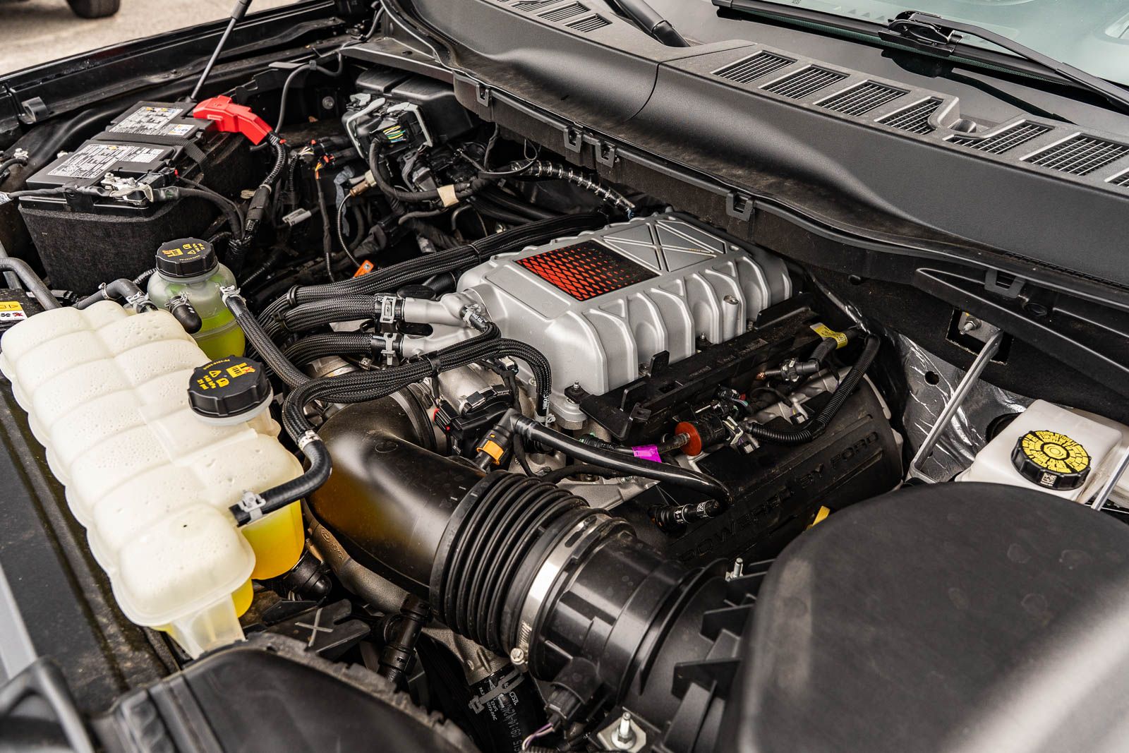 Used 2025 Ford F-150 Truck