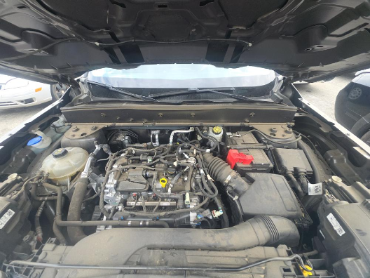 Used 2023 Gray Ford Heritage image 16