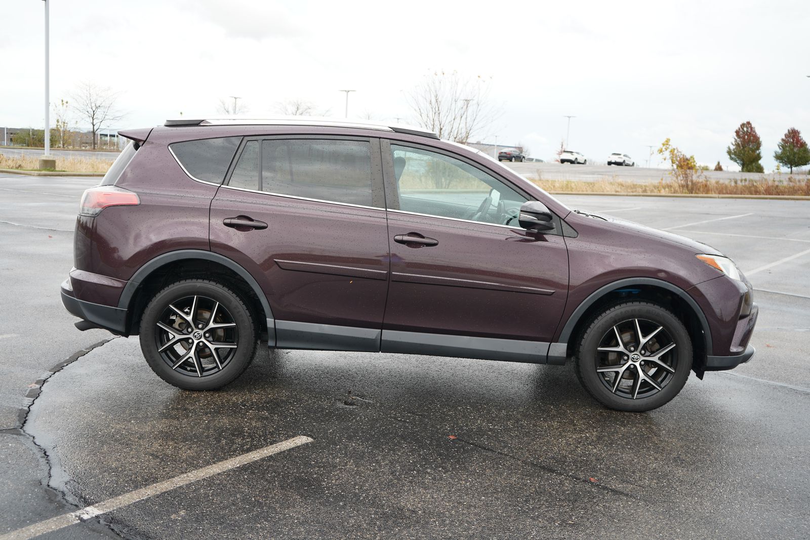 2016 Toyota RAV4 SE 5