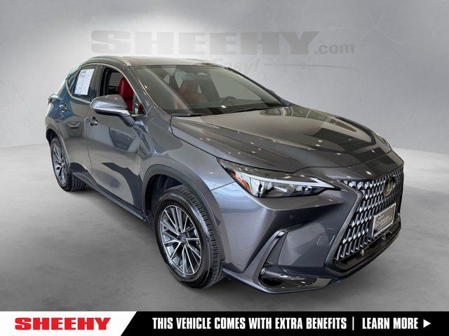 2025 Lexus NX 350 350 Premium AWD's photo