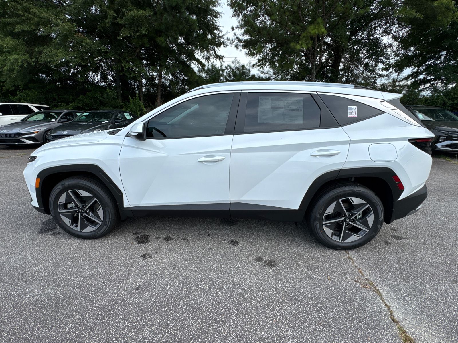 2025 Hyundai Tucson Hybrid SEL Convenience photo 8