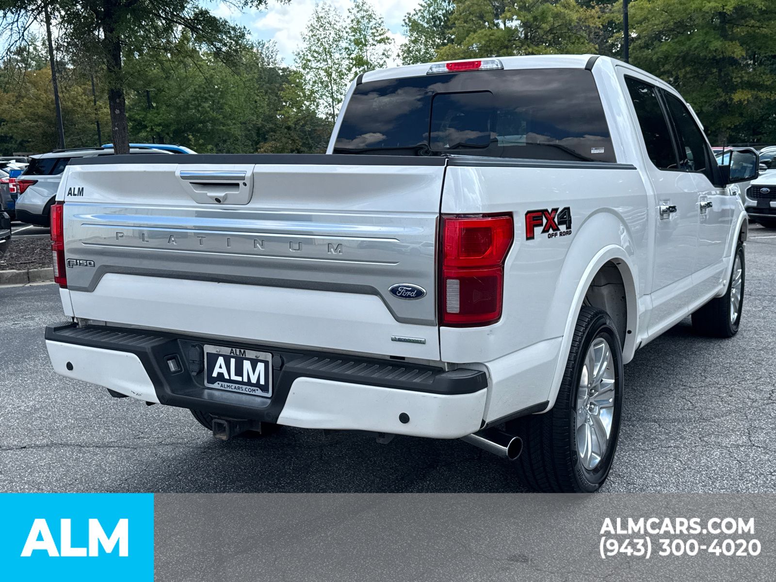 2019 Ford F-150 Platinum photo 5