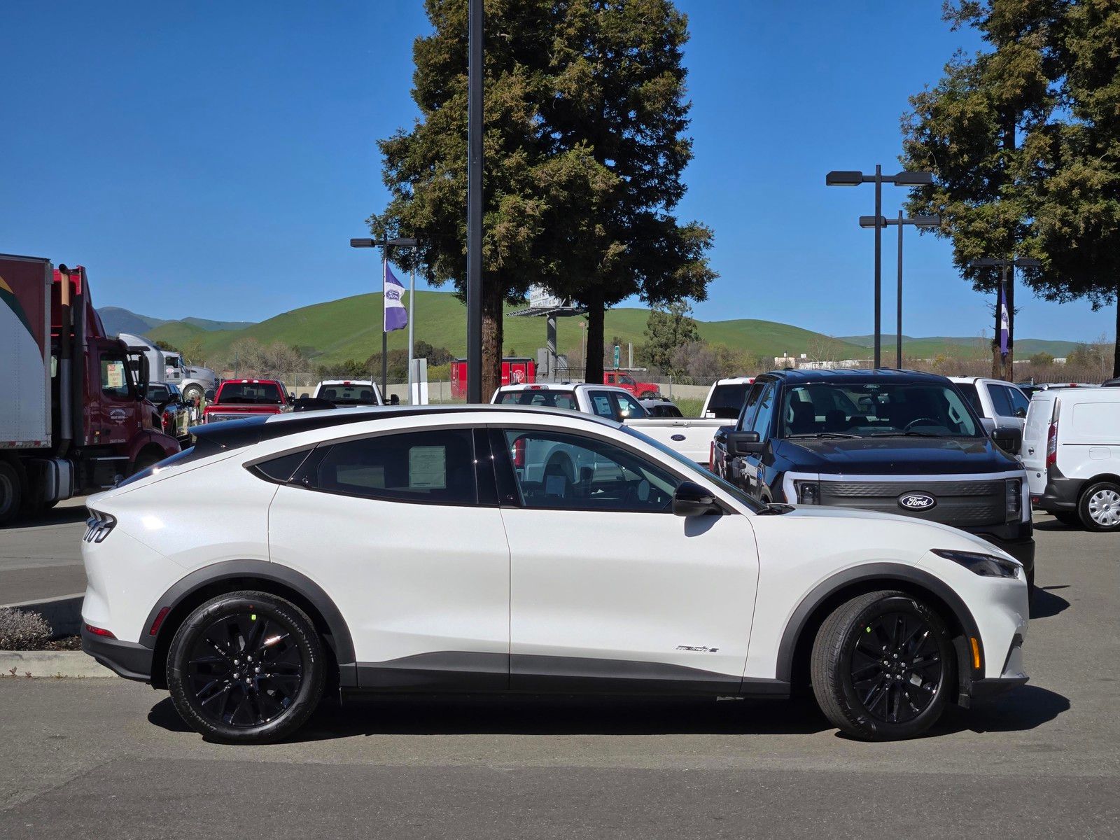 New 2026 White Ford Select image 3