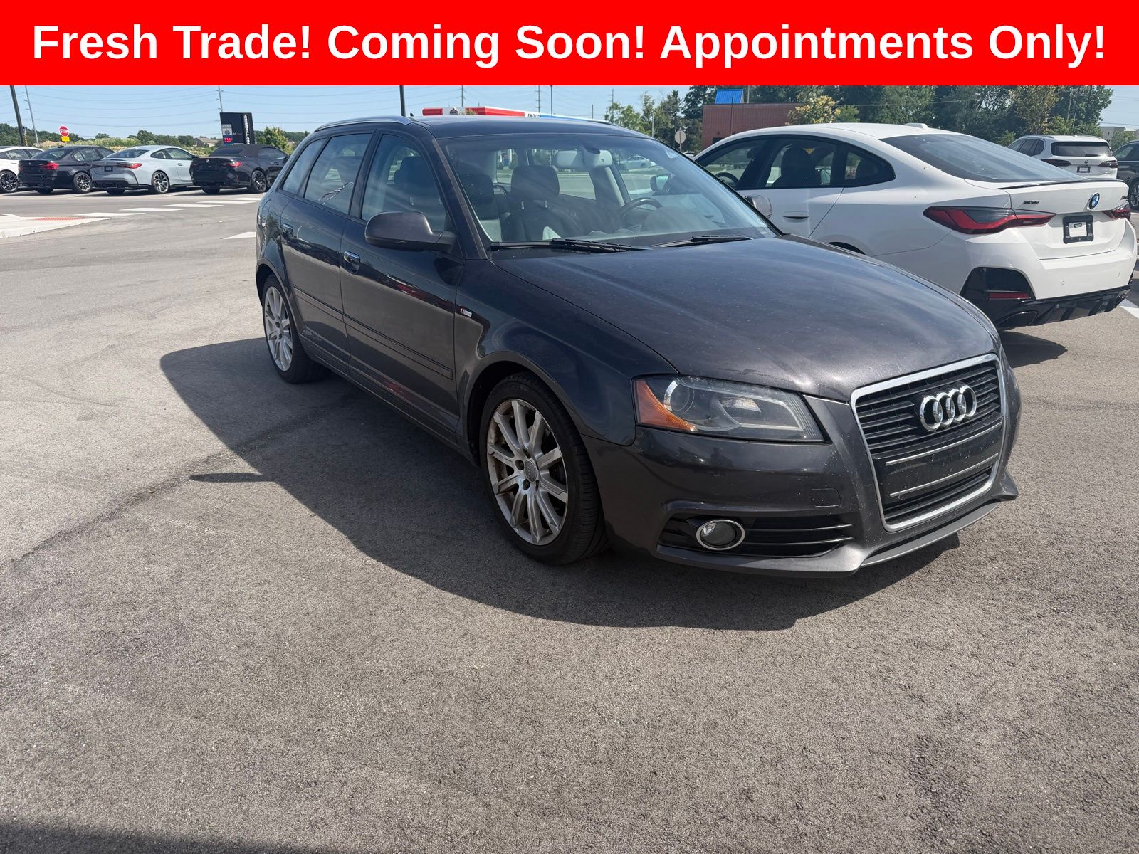 Lava Gray Pearl Effect 2011 Audi A3 2.0 TDI Premium Plus Wagon FWD Wagon Front-Wheel Drive 6-Speed Automatic