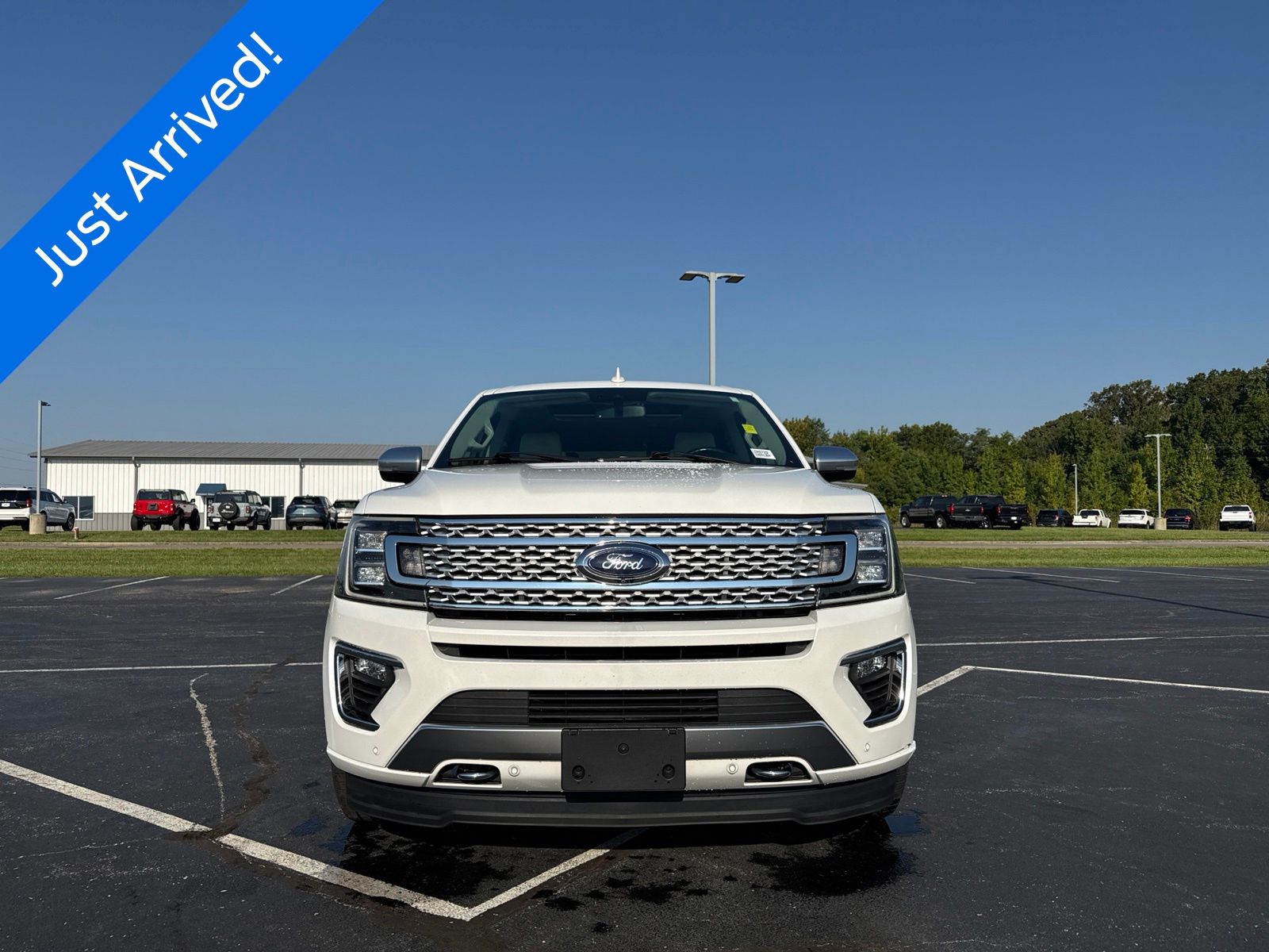 2020 Ford Expedition image 2