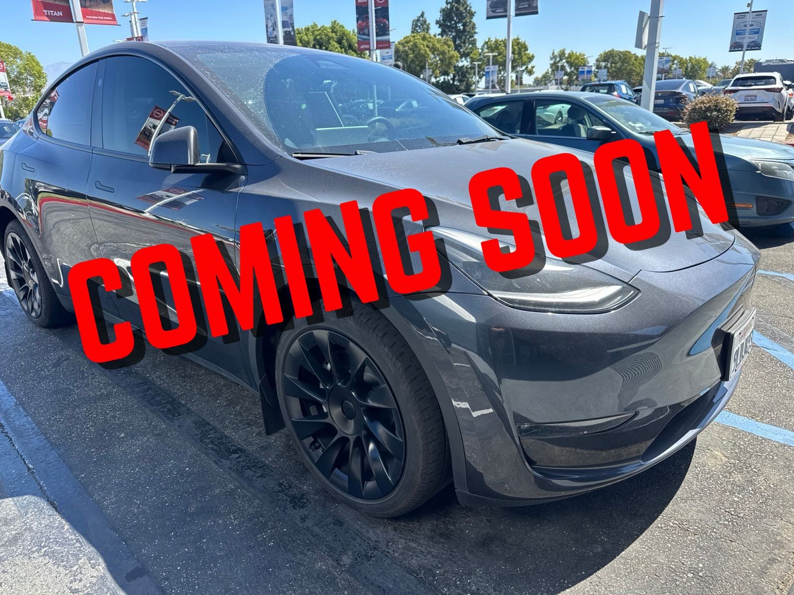 2024 Tesla Model Y