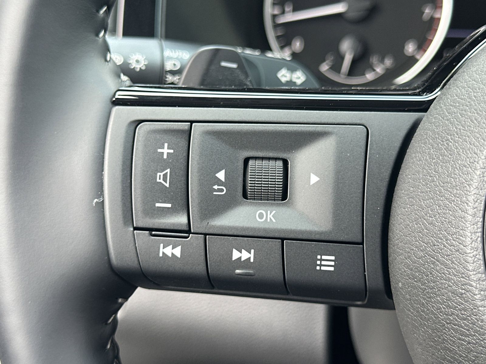 2025 Nissan Pathfinder SL photo 10
