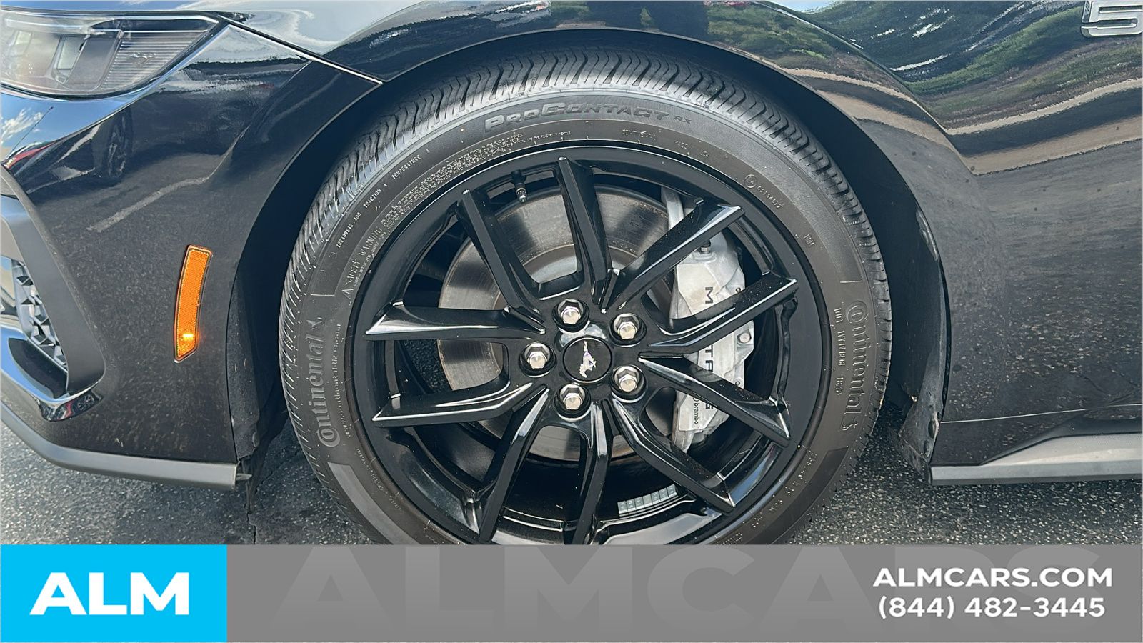 Used 2025 Black Ford GT image 12