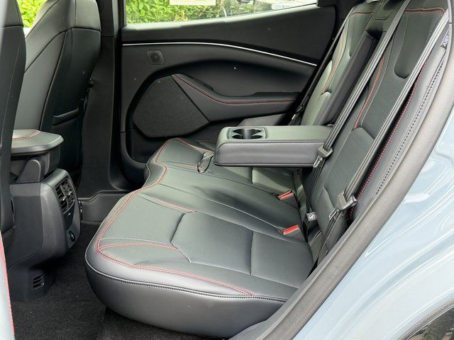 New 2025 Gray Ford Premium image 17