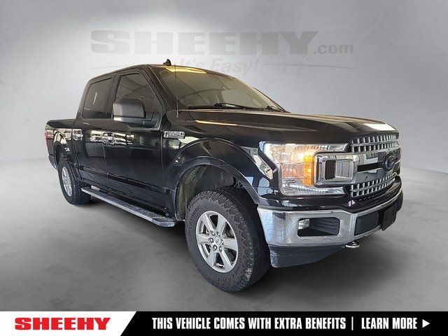2019 Ford F-150 XLT 4x4 SuperCrew 5-1/2 Box's photo