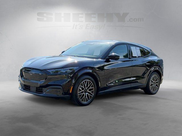 Certified Used 2025 Shadow Black Ford Premium image 16