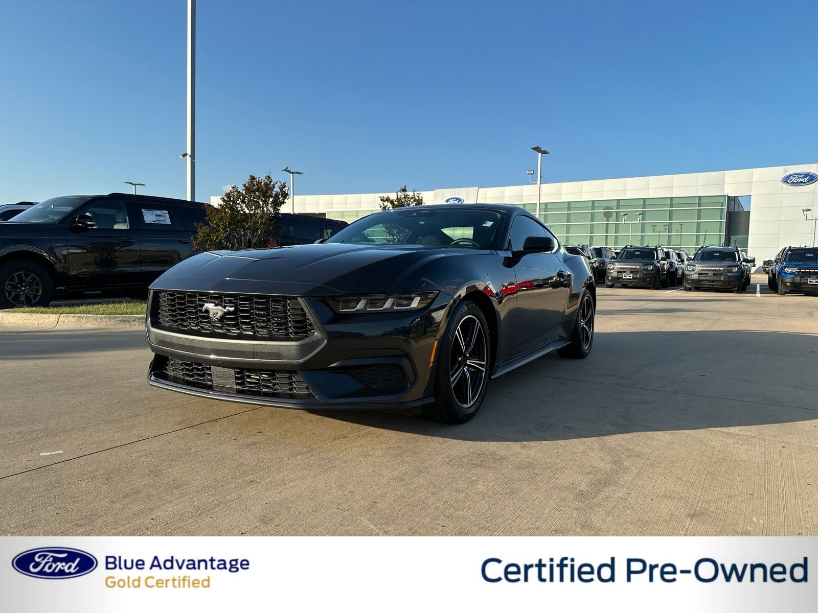 Dark Matter Gray Metallic 2024 Ford Mustang Coupe Rear-Wheel Drive Automatic