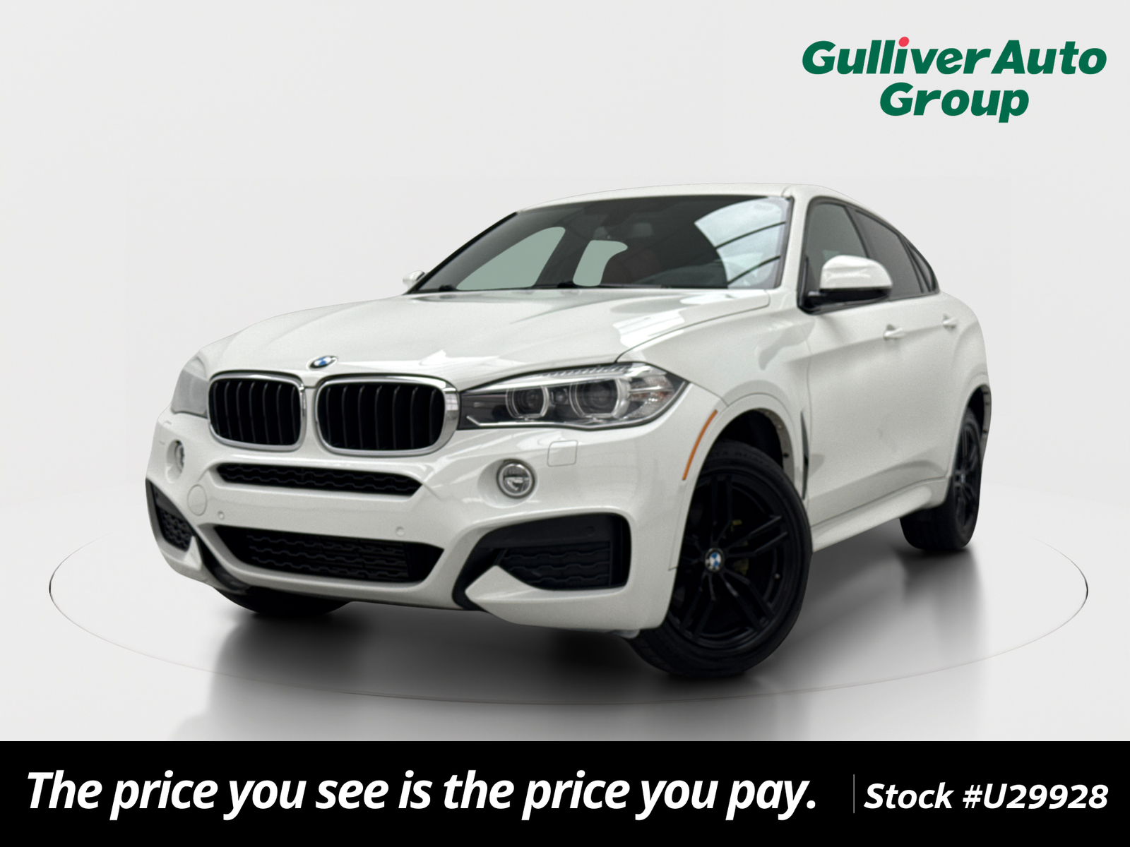 2017 BMW X6 xDrive35i's photo