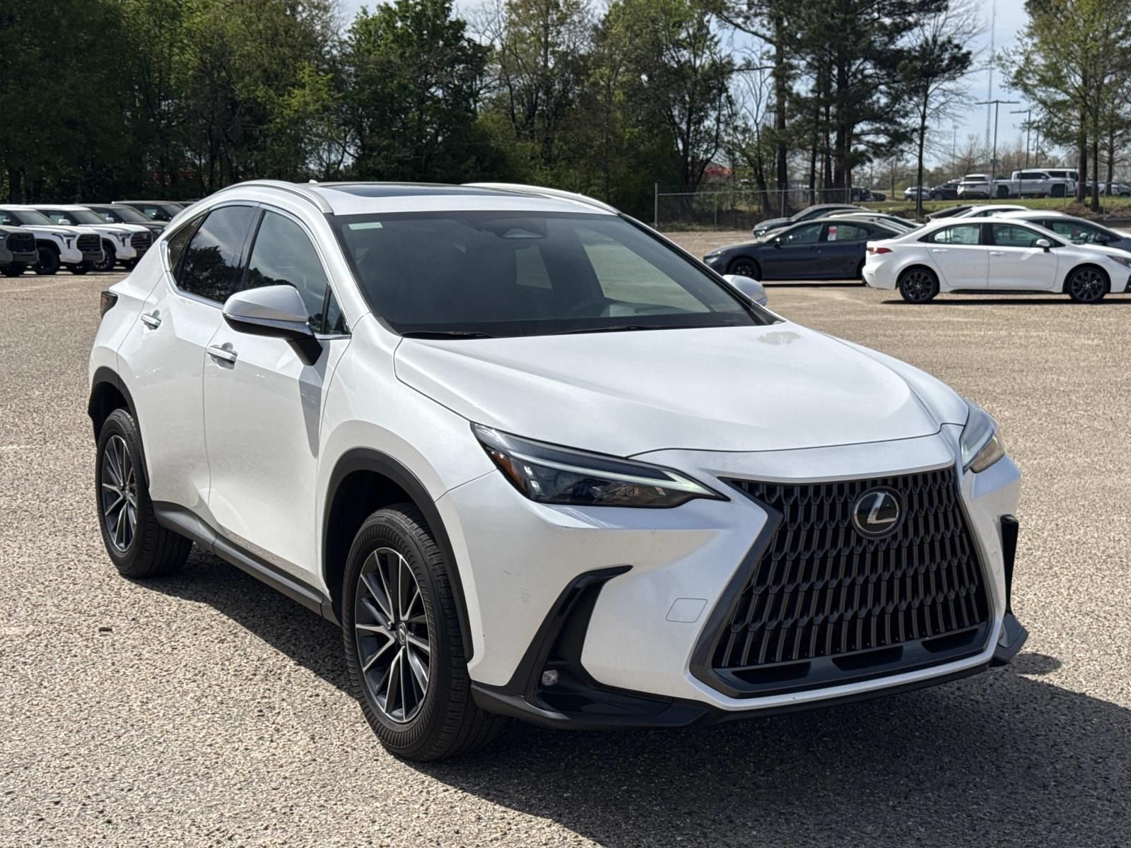 2024 Lexus NX 250 FWD