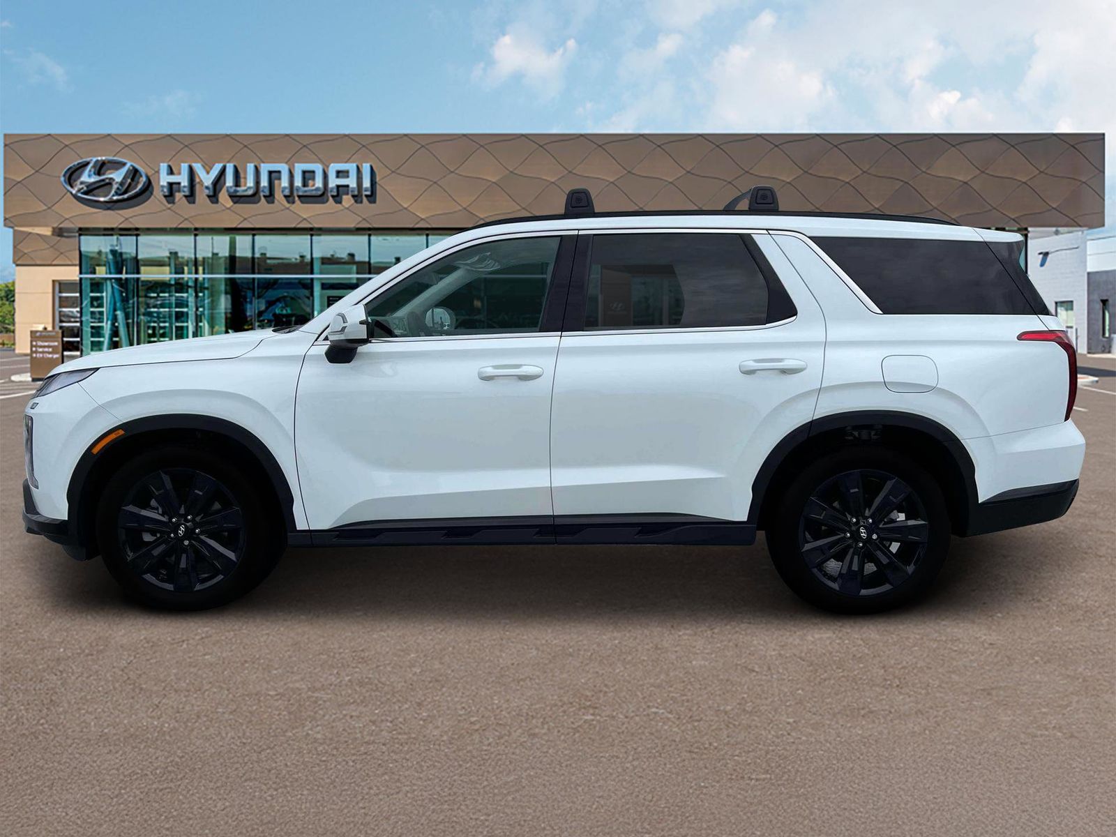 Palisade XRT